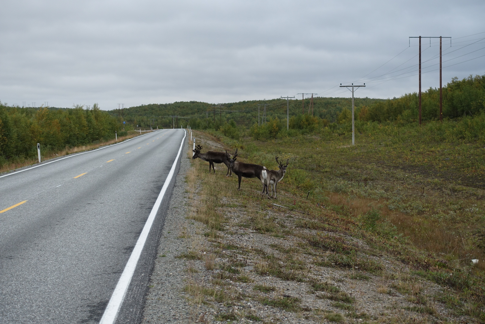 wp-1440800286962 image