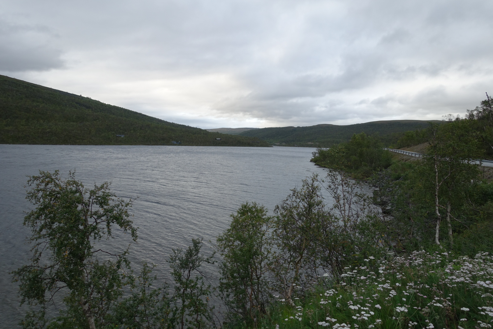 wp-1440800295985 image